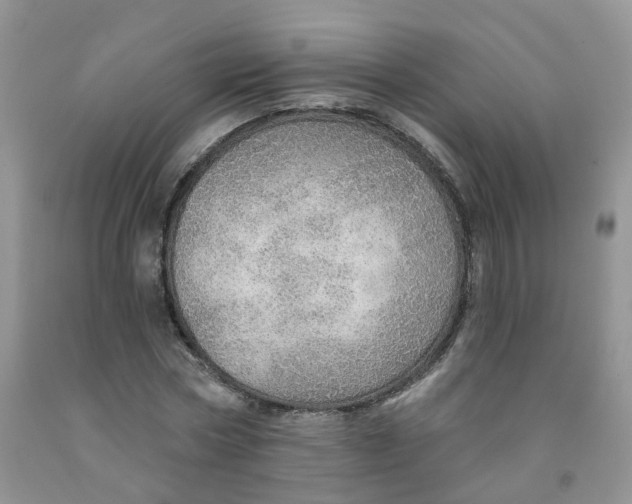 X0000091310778200709071113