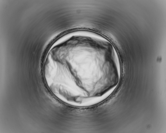X0000091310780200709071113
