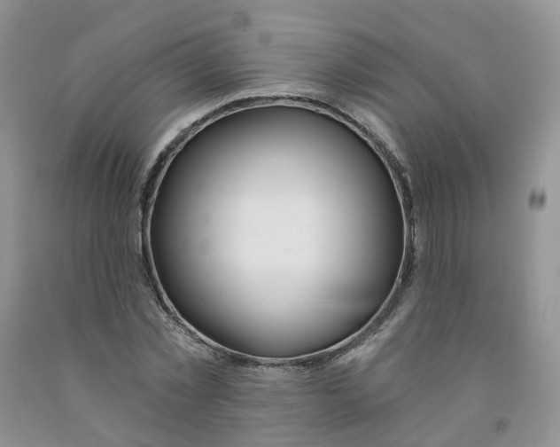 X0000091310781200709071113