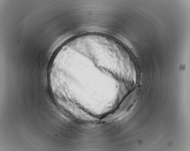 X0000091310782200709071113