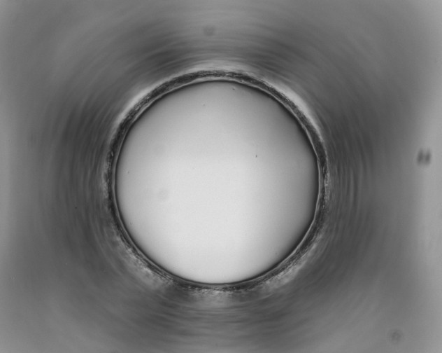 X0000091310783200709071113