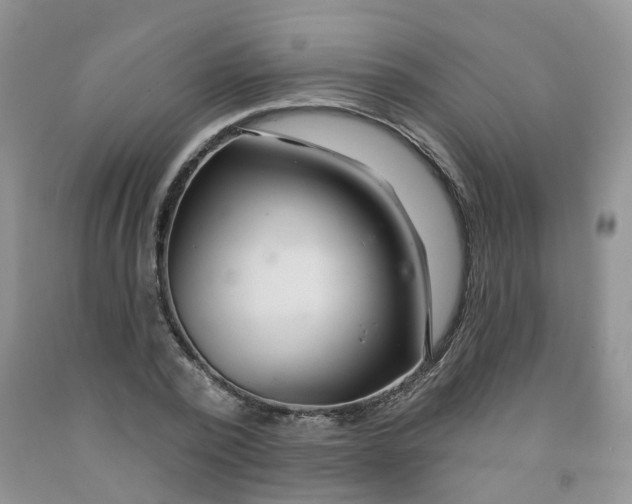 X0000091310784200709071113