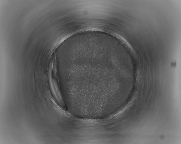 X0000091310785200709071113