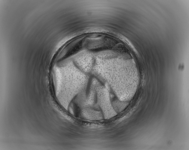 X0000091310786200709071113