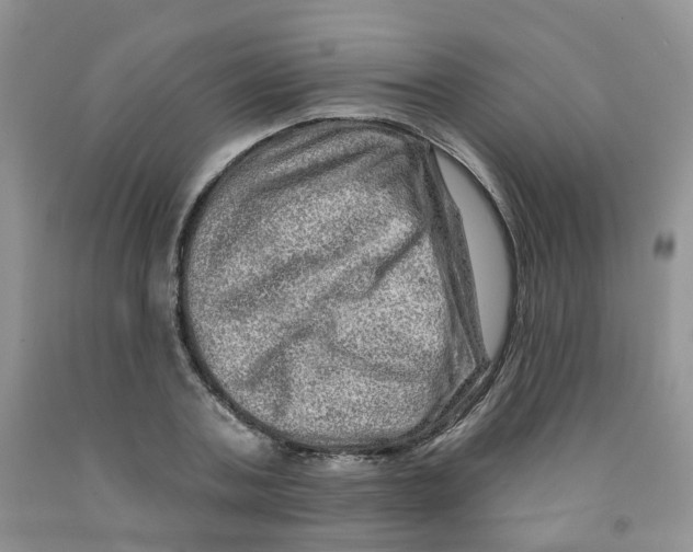 X0000091310787200709071113