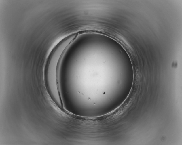 X0000091310788200709071113