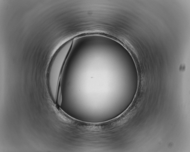 X0000091310789200709071113