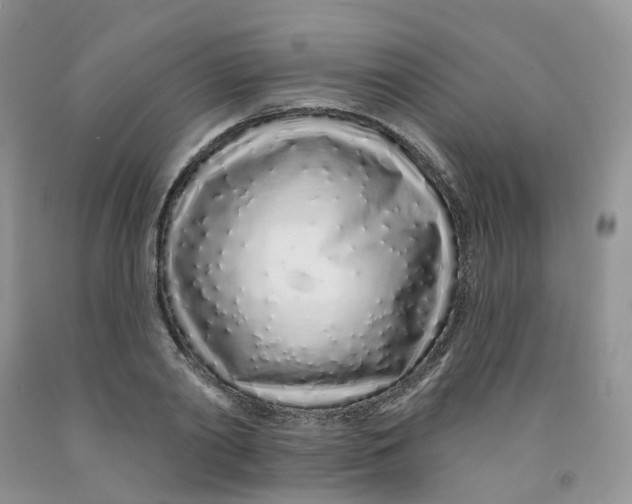 X0000091310790200709071113