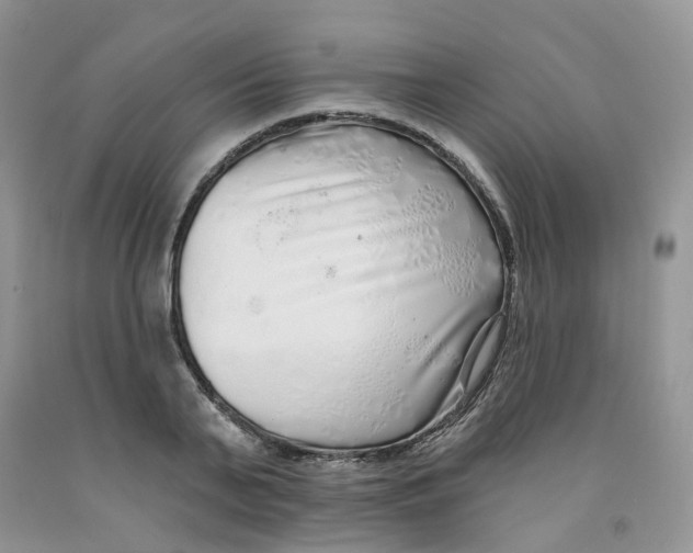 X0000091310791200709071113