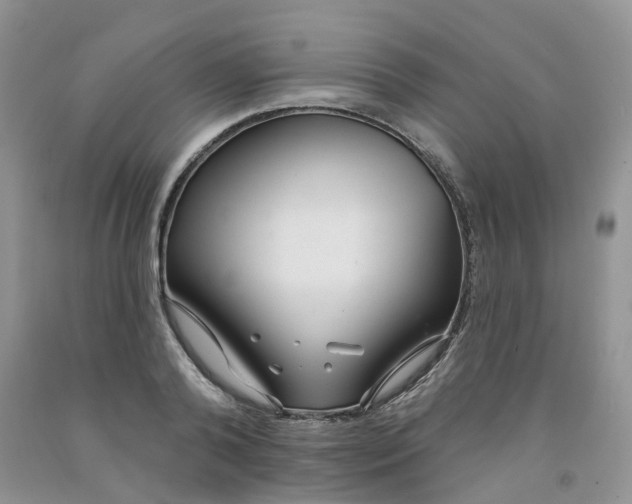 X0000091310792200709071113