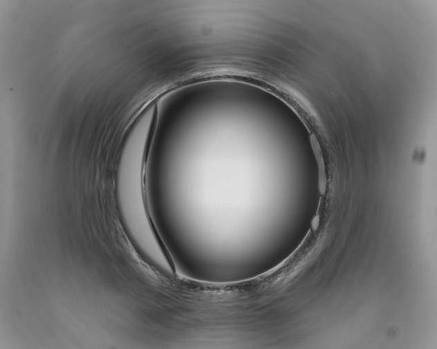 X0000091310793200709071113