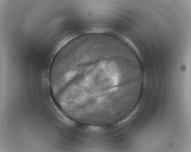 X0000091310794200709071113