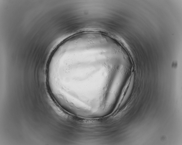 X0000091310795200709071113