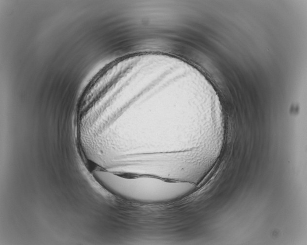 X0000091310796200709071113