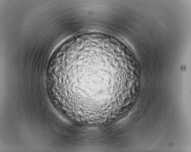 X0000091310798200709071113