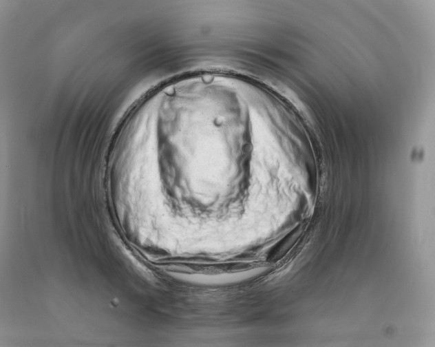 X0000091310799200709071113