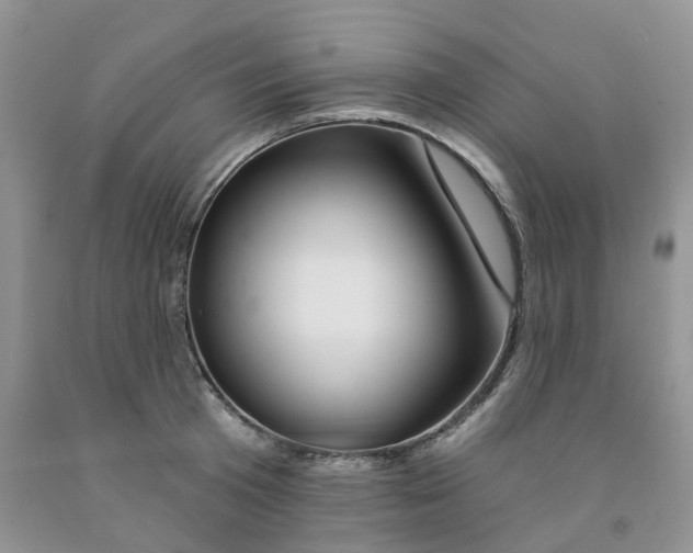 X0000091310801200709071113