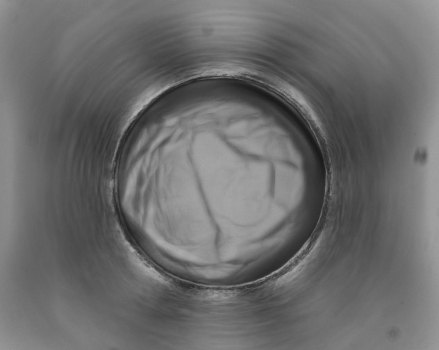 X0000091310802200709071113