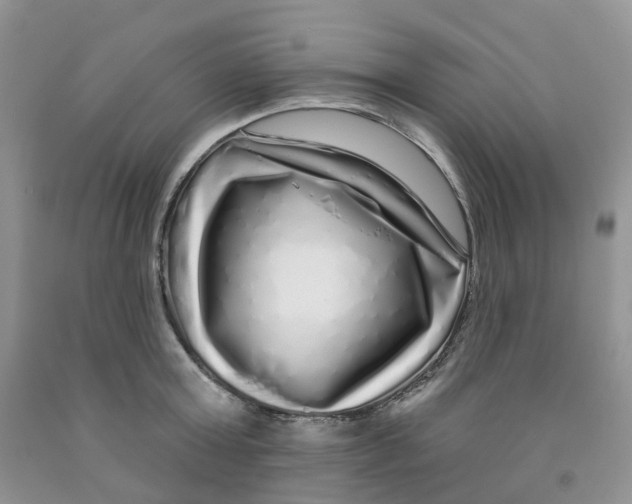 X0000091310803200709071113