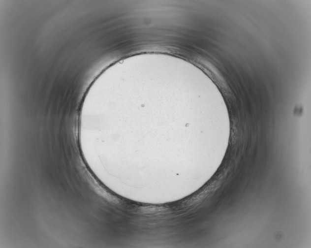 X0000091310804200709071113