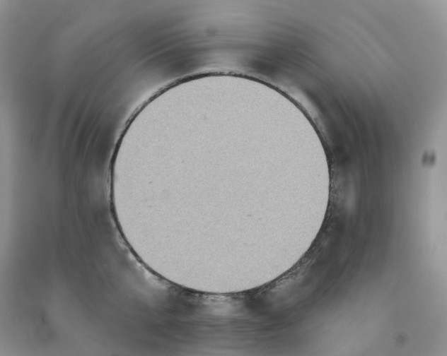 X0000091310807200709071112