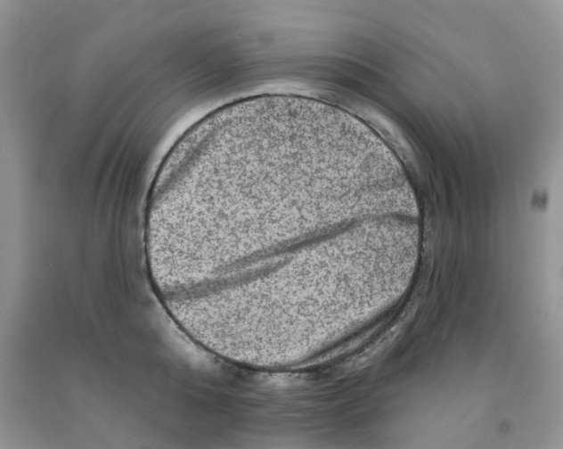 X0000091310808200709071112