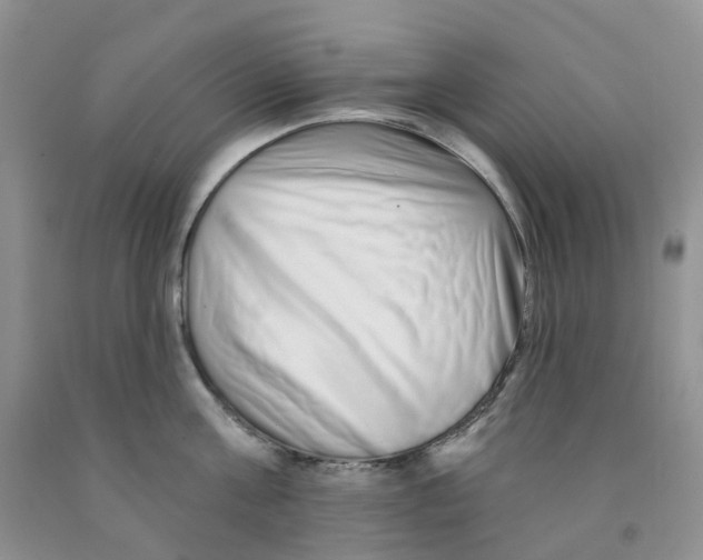 X0000091310811200709071112