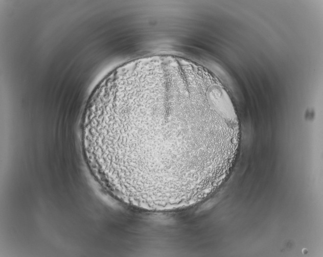 X0000091310814200709071112