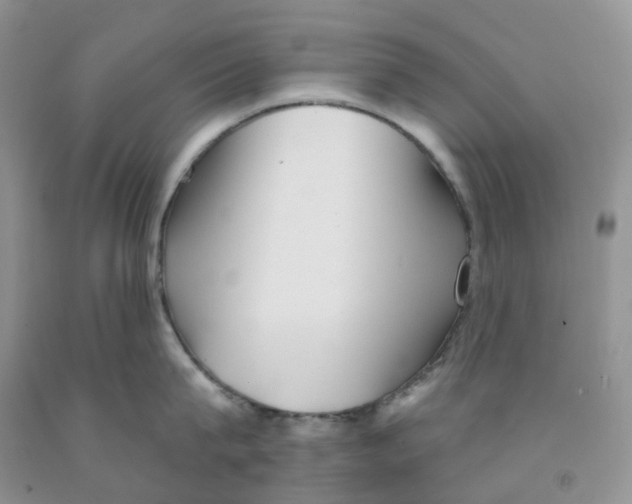 X0000091310815200709071112