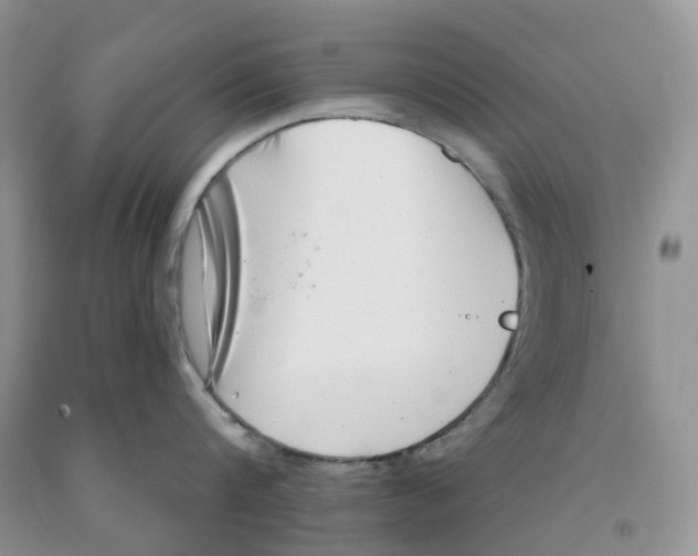 X0000091310816200709071112