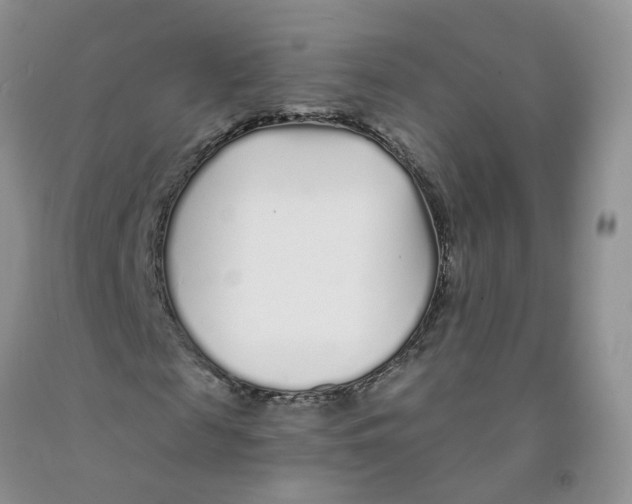 X0000091310817200709071112