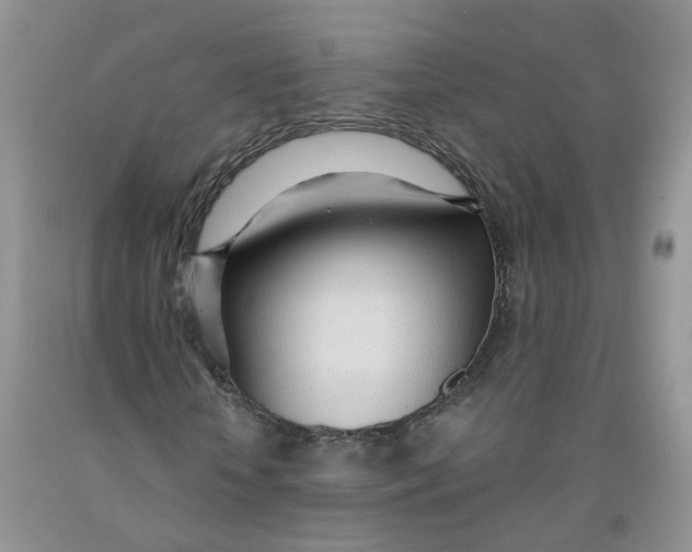 X0000091310818200709071112