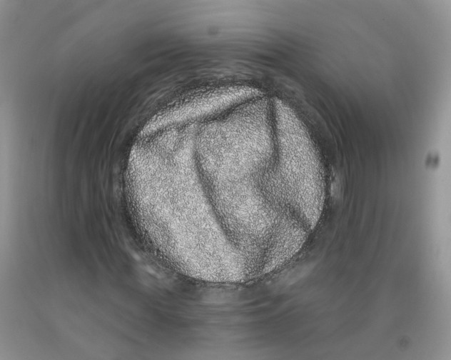 X0000091310819200709071112