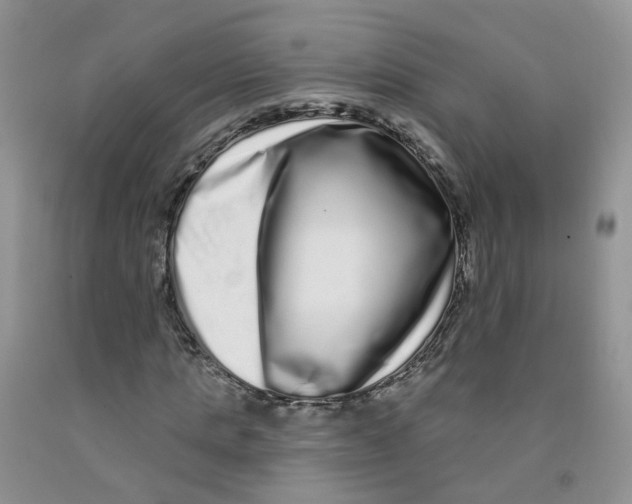 X0000091310821200709071112