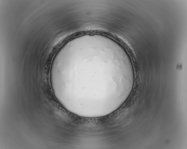 X0000091310823200709071112