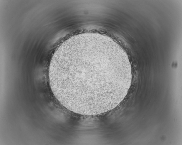 X0000091310824200709071112