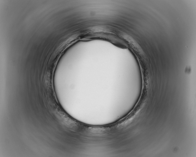 X0000091310825200709071112