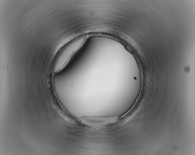 X0000091310826200709071112