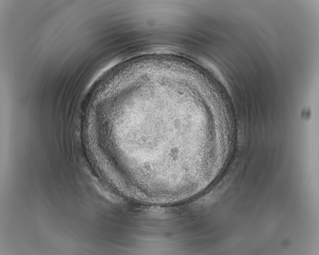 X0000091310827200709071112