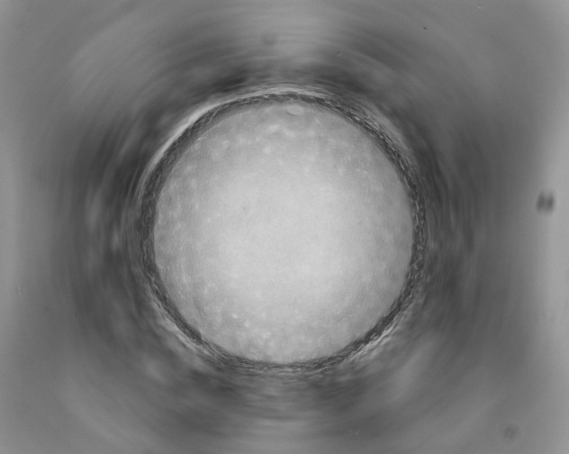 X0000091310828200709071112