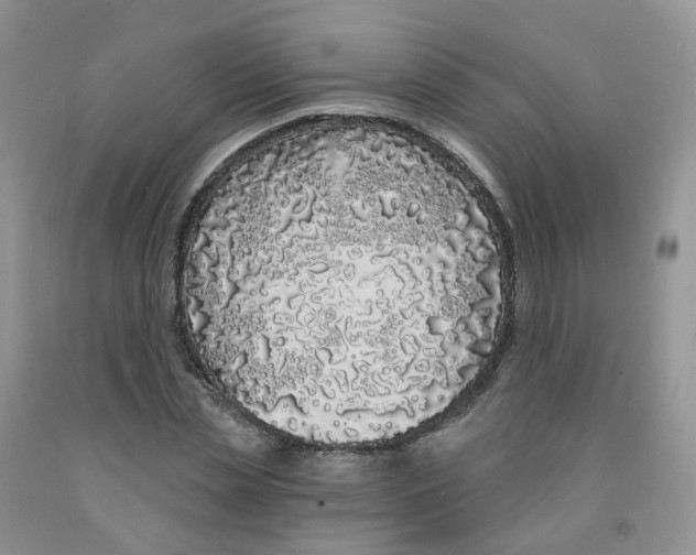 X0000091310829200709071112