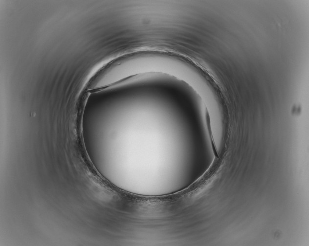 X0000091310830200709071112