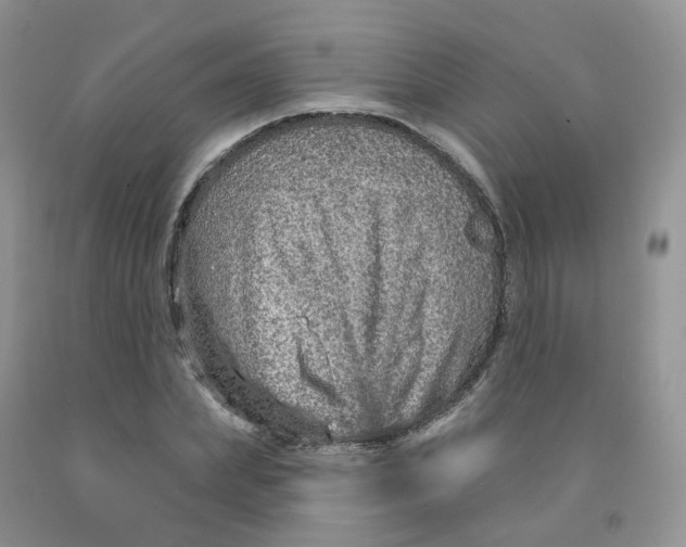 X0000091310831200709071112