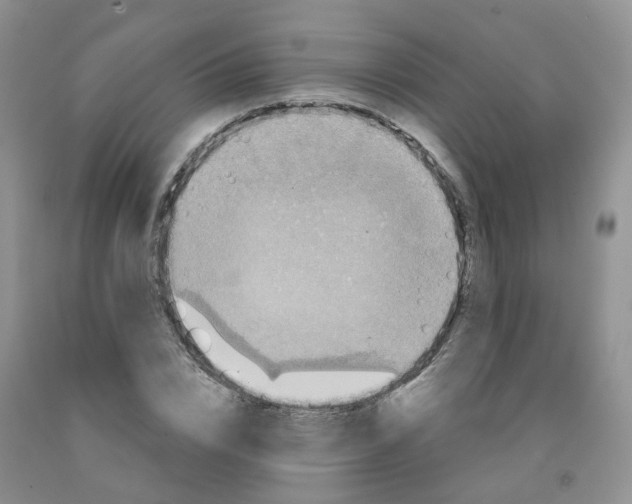 X0000091310832200709071112