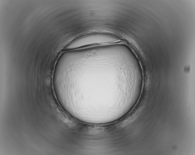 X0000091310833200709071112