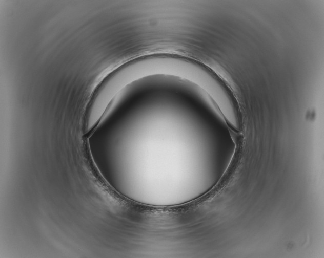 X0000091310834200709071112