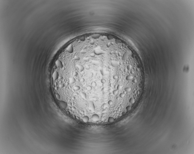 X0000091310835200709071112