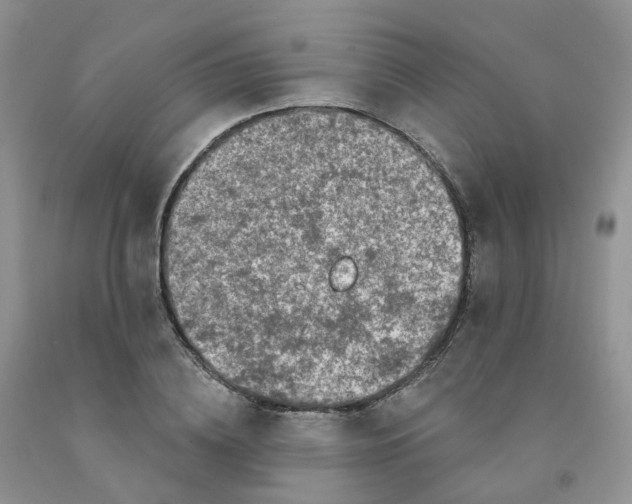 X0000091310836200709071112