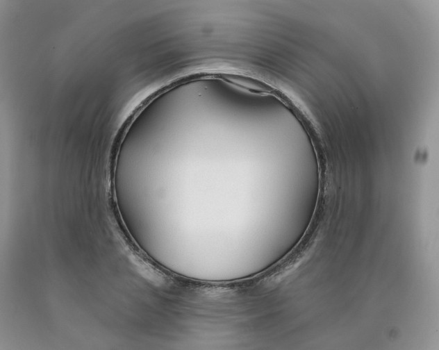 X0000091310837200709071112