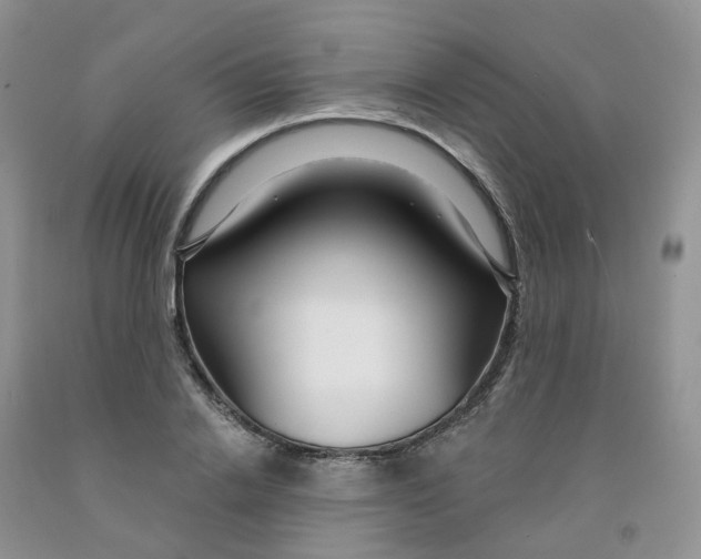 X0000091310838200709071112